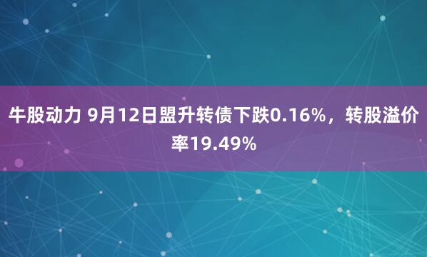 牛股动力 9月12日盟升转债下跌0.16%，转股溢价率19.49%