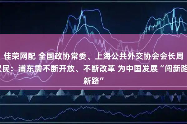佳荣网配 全国政协常委、上海公共外交协会会长周汉民：浦东需不断开放、不断改革 为中国发展“闯新路”
