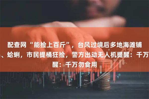 配查网 “能捡上百斤”，台风过境后多地海滩铺满生蚝、蛤蜊，市民提桶狂捡，警方出动无人机提醒：千万勿食用
