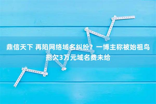 鼎信天下 再陷网络域名纠纷？一博主称被始祖鸟拖欠3万元域名费未给