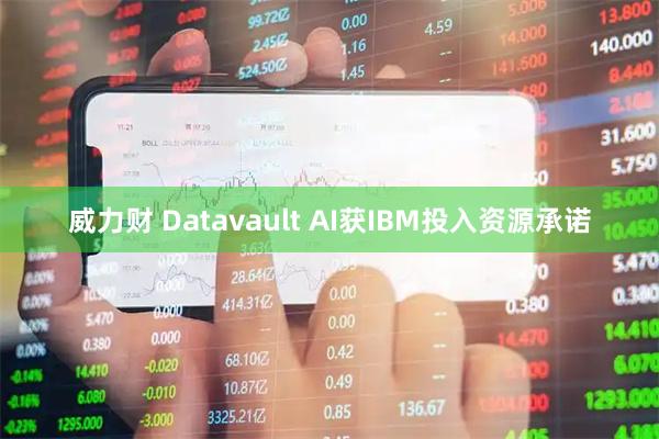威力财 Datavault AI获IBM投入资源承诺