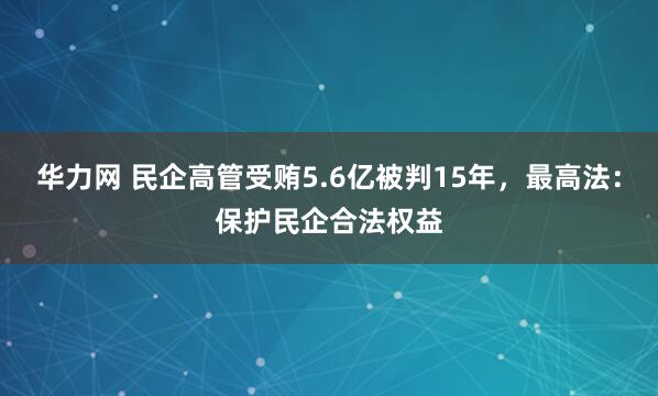 华力网 民企高管受贿5.6亿被判15年,最高法:保护民企合法权益