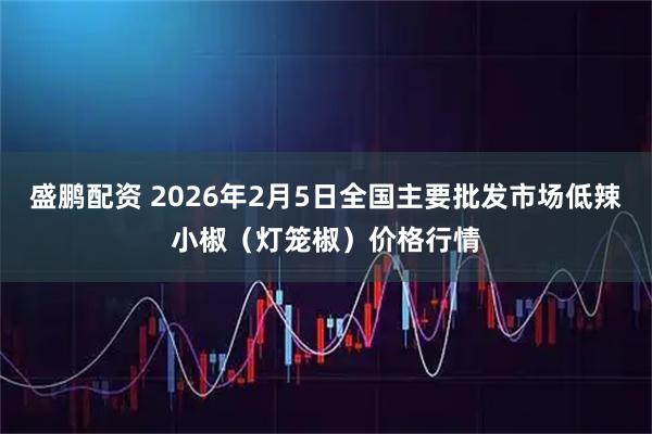 盛鹏配资 2026年2月5日全国主要批发市场低辣小椒（灯笼椒）价格行情